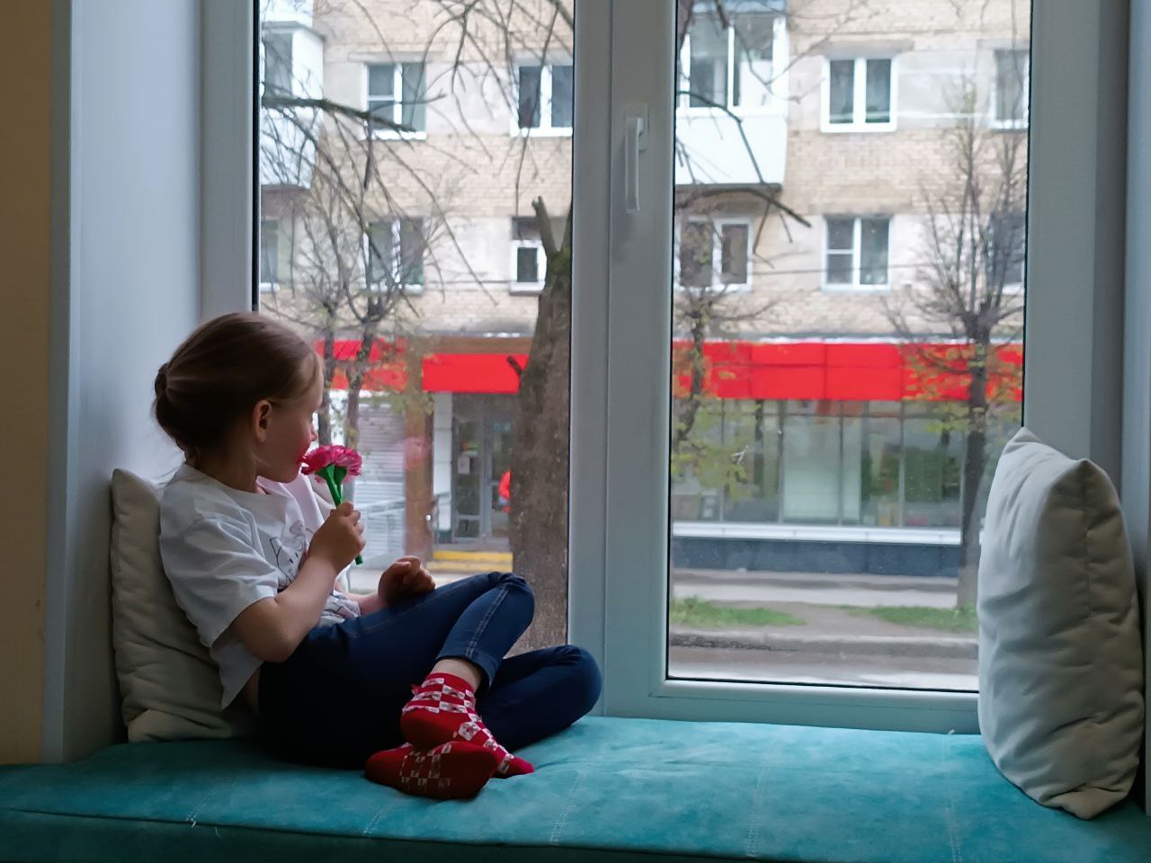 «Книжные полки без границ: как путешествовать по библиотекам, не выходя из дома.»