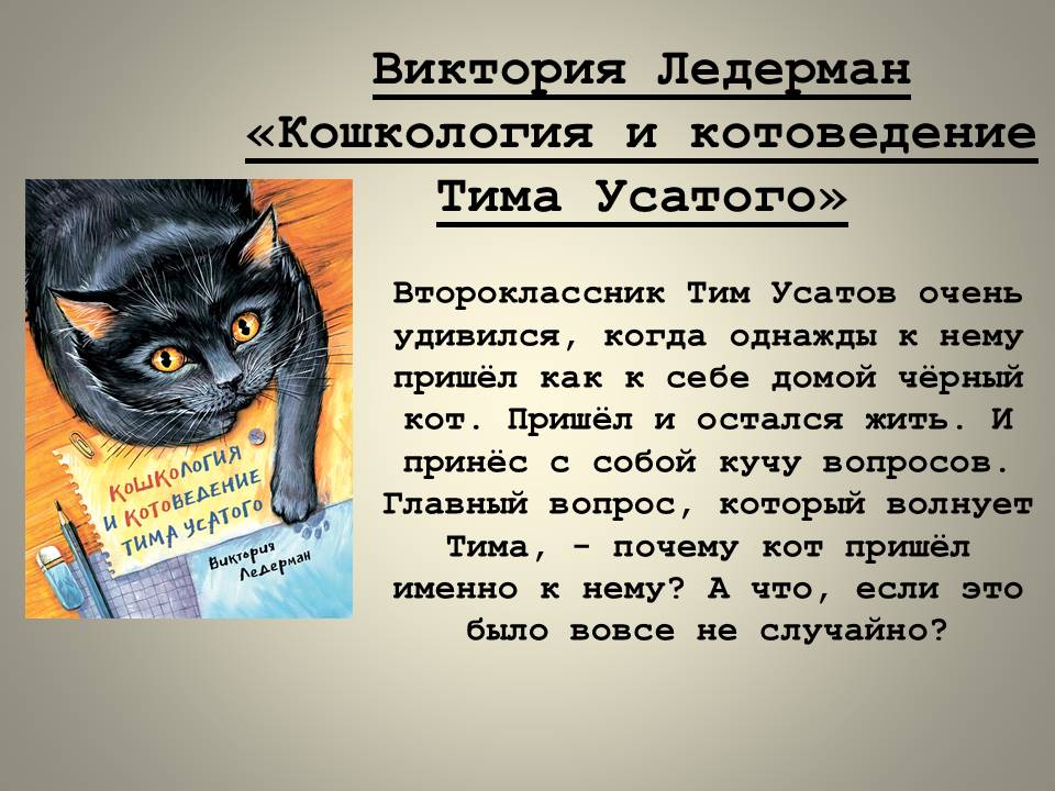 ВНИМАНИЕ! КОТОПОДБОРКА!